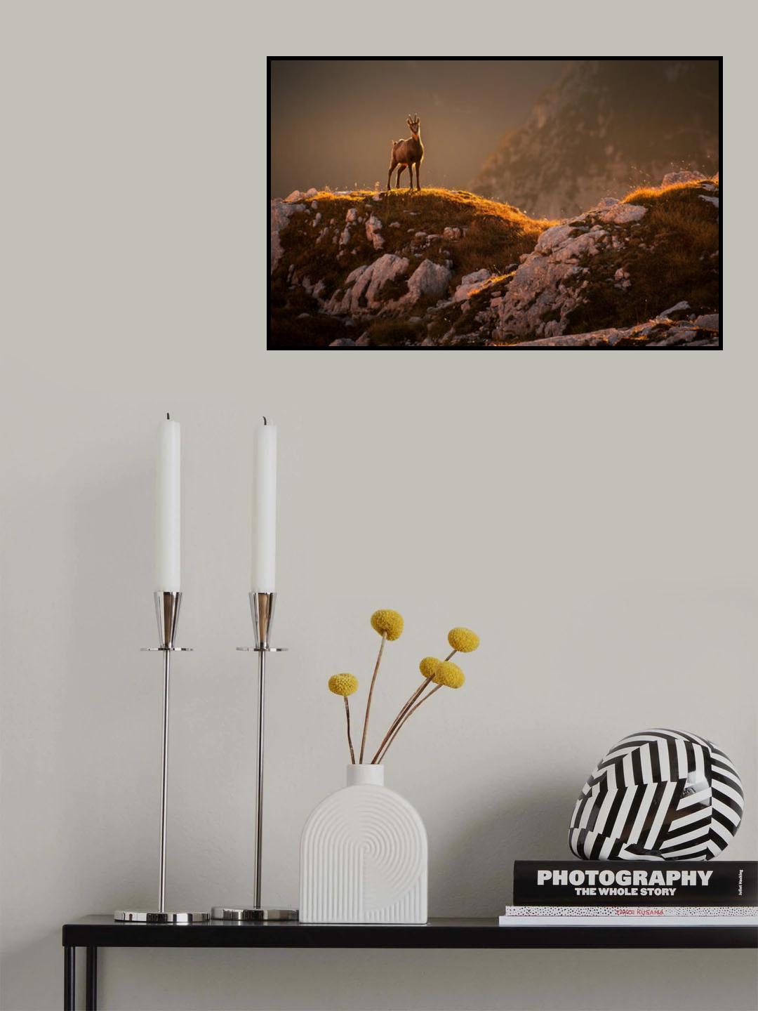 Mountain goat Poster och Canvastavla