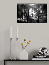 Gentle sunshine... Poster och Canvastavla