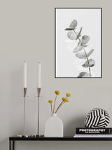 Eucalyptus Creative 05 Poster och Canvastavla