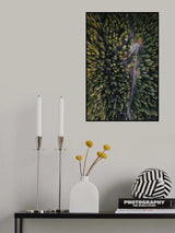 Forest vibes Poster och Canvastavla