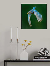 Piecemeal Poster och Canvastavla