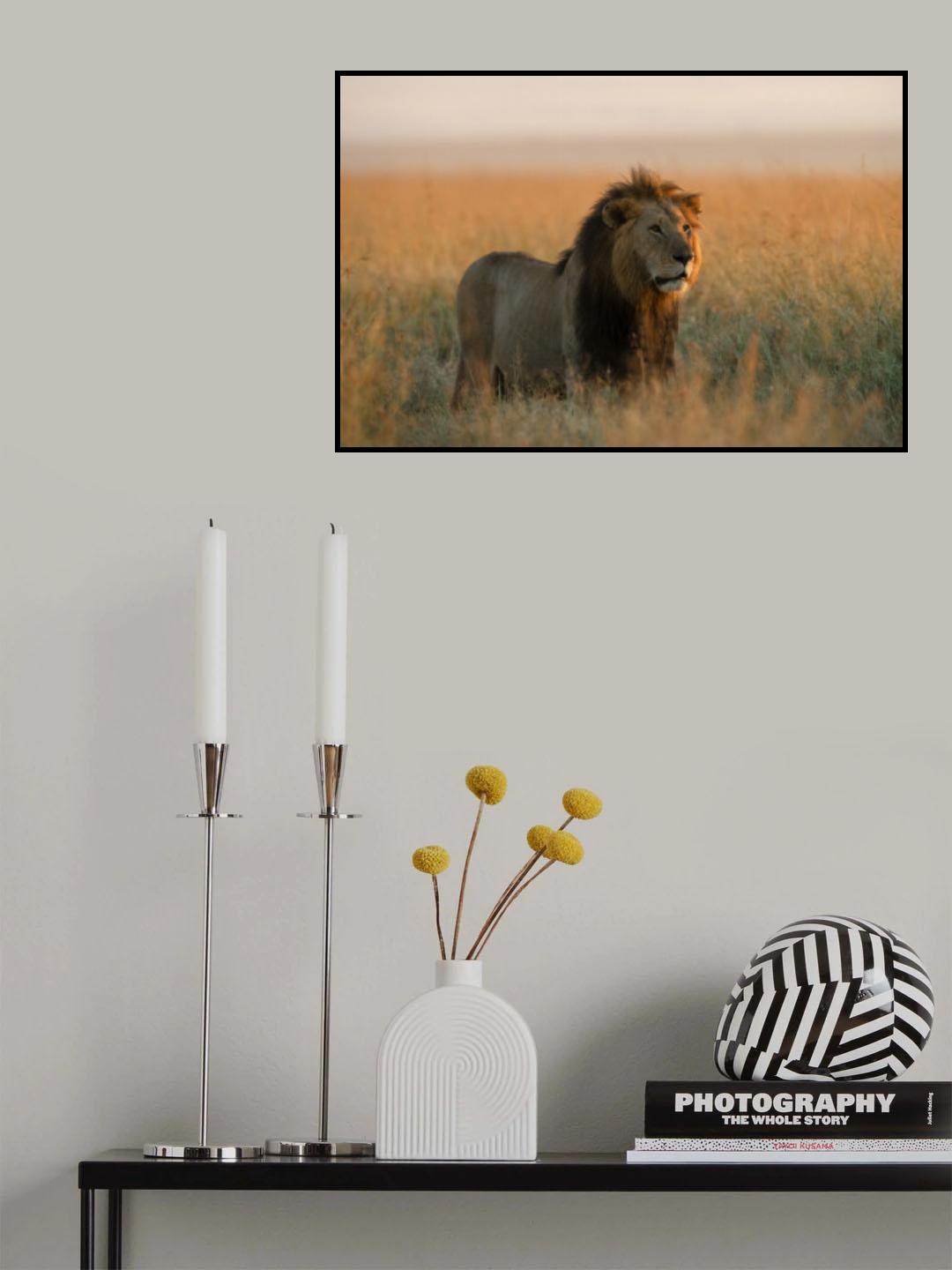 Sunlight Poster och Canvastavla