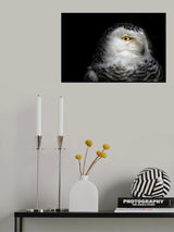 I see you Poster och Canvastavla