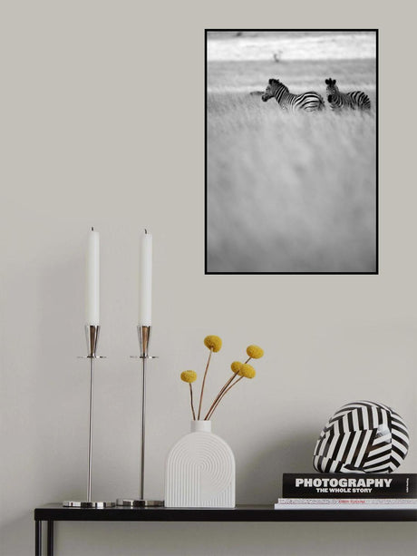 Savannah Poster och Canvastavla