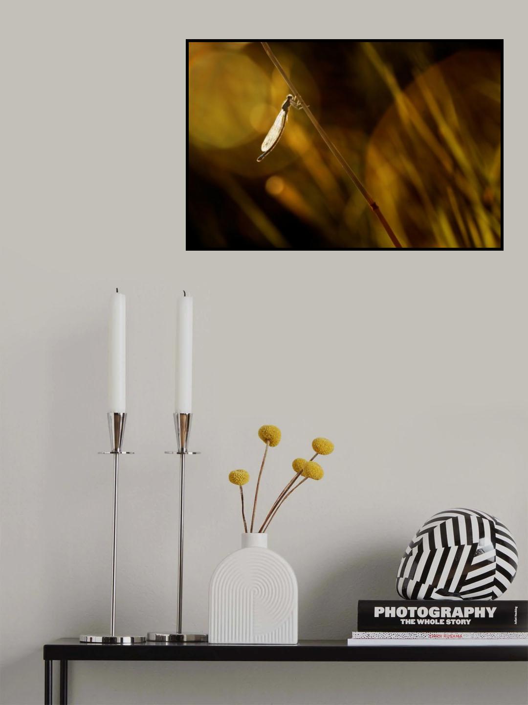 Evening by the lake Poster och Canvastavla