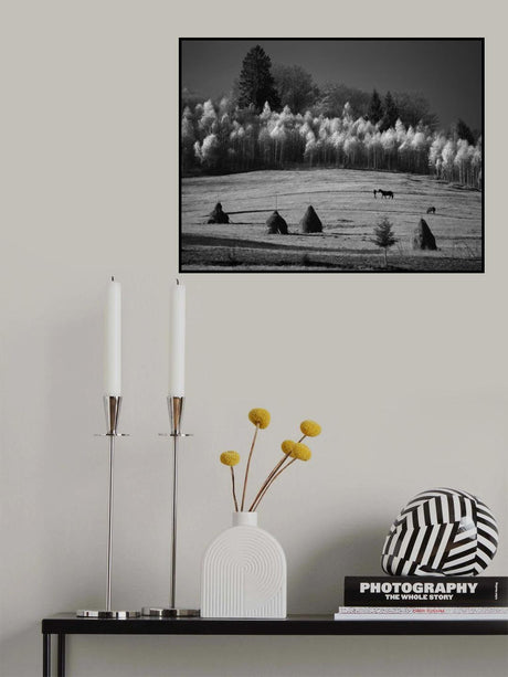 November fields Poster och Canvastavla