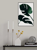 Monstera Natural 45 Poster och Canvastavla