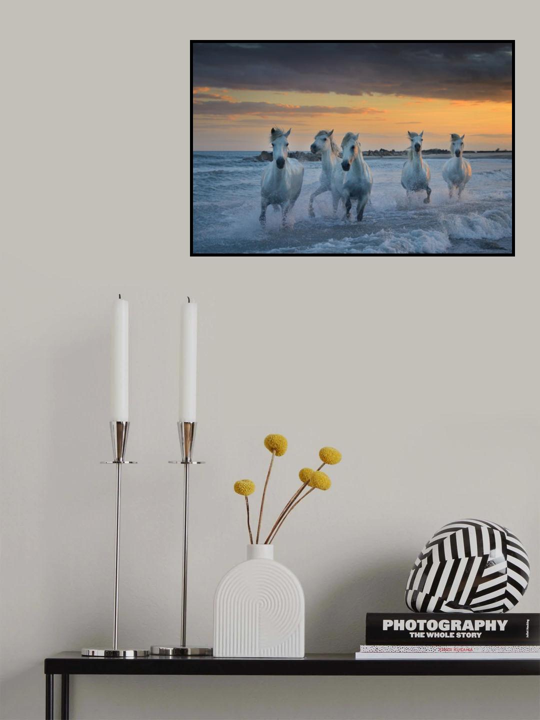 In the waves Poster och Canvastavla