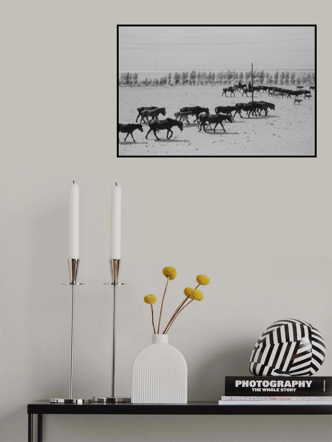Altay Horses Poster och Canvastavla