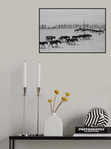Altay Horses Poster och Canvastavla