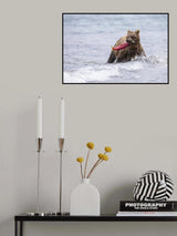 look back Poster och Canvastavla