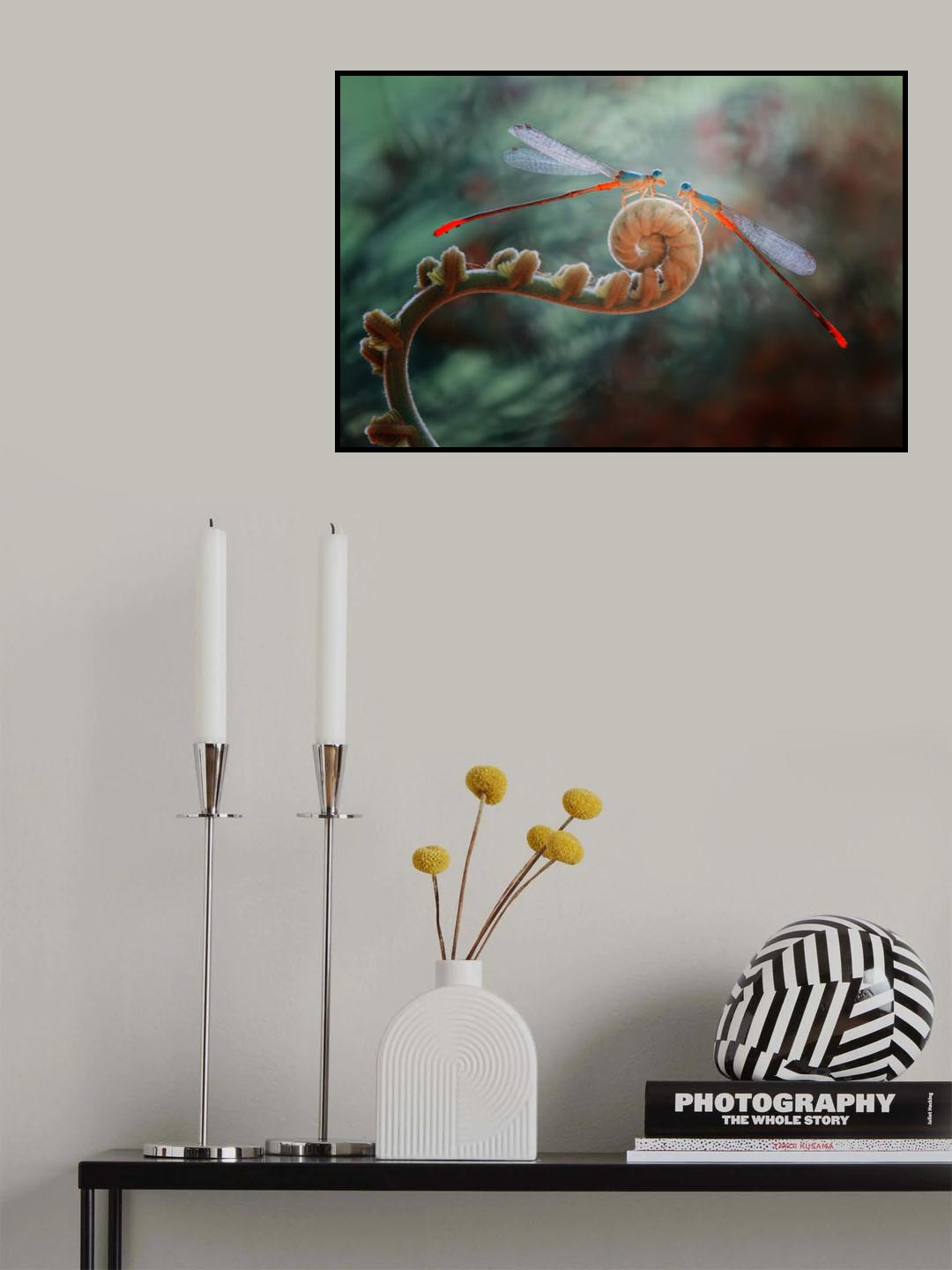 Take a Look Poster och Canvastavla