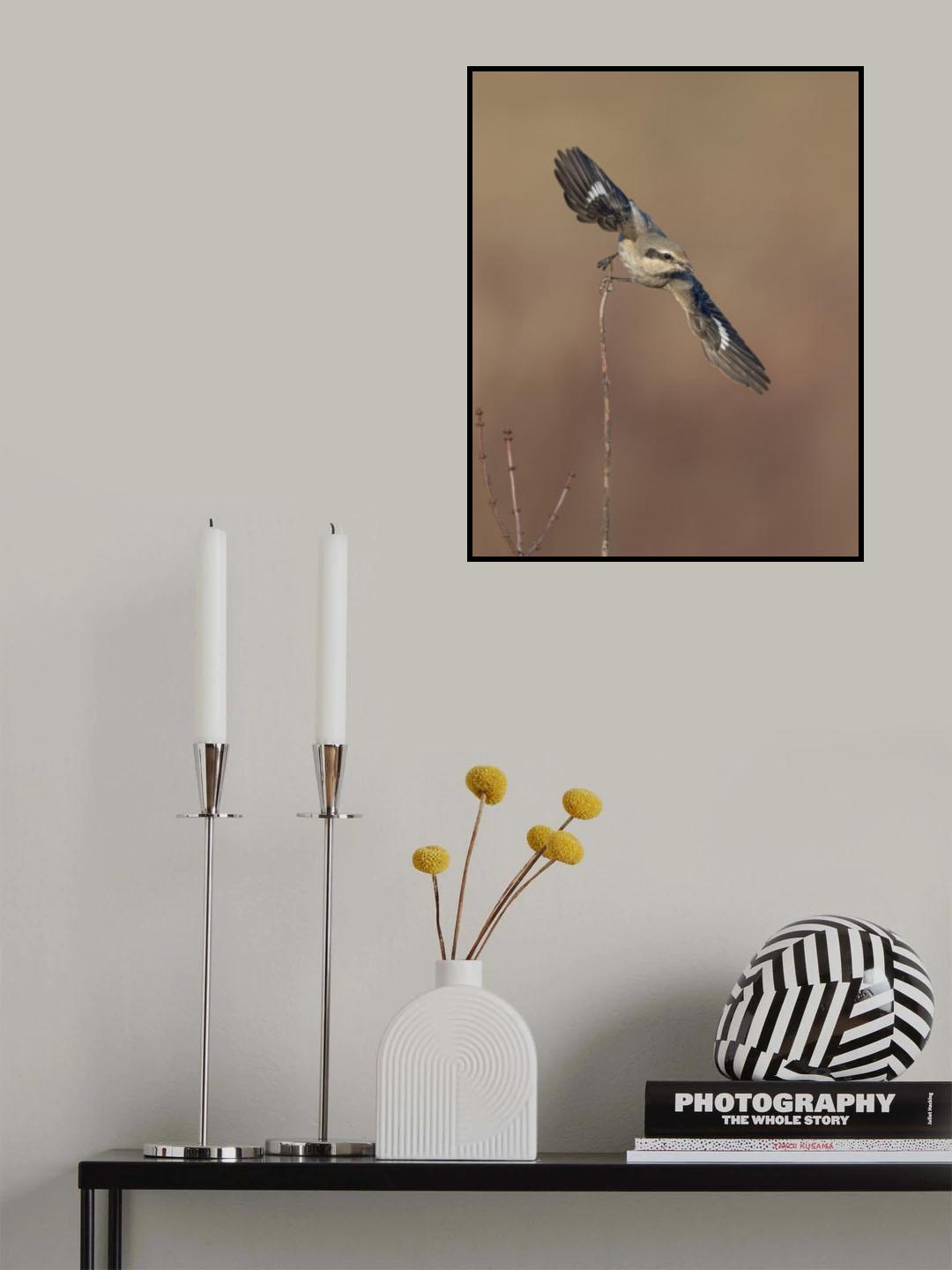 Just took off Poster och Canvastavla