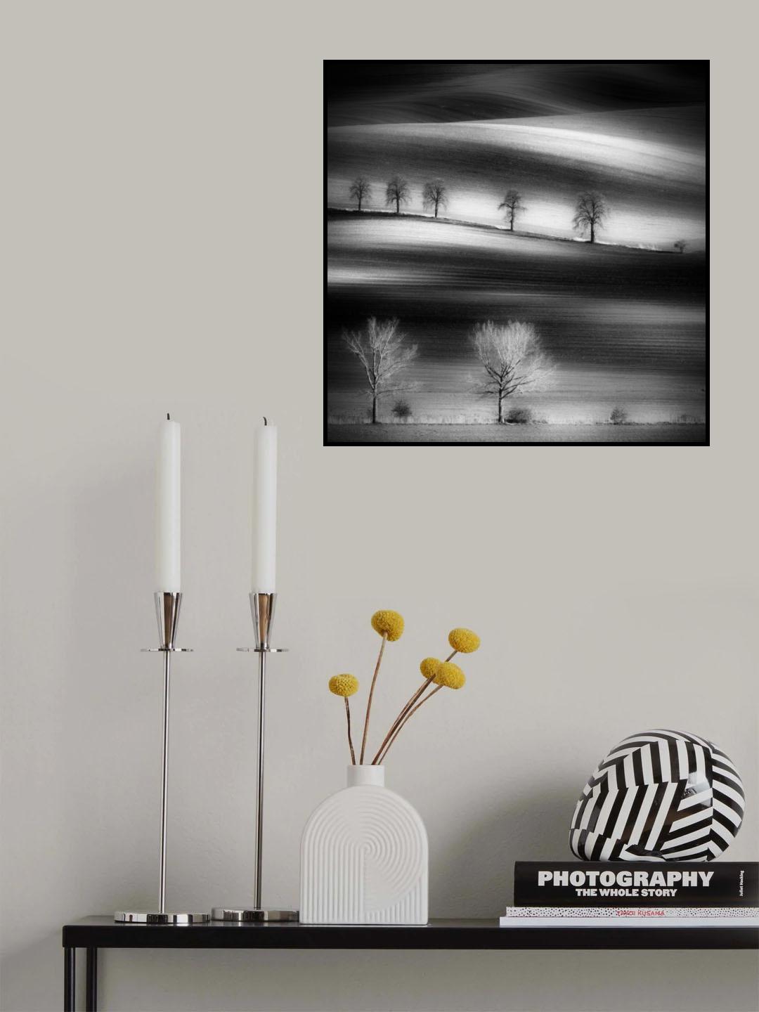 Trees Poster och Canvastavla