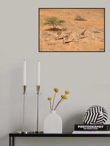 Family Paradise Poster och Canvastavla