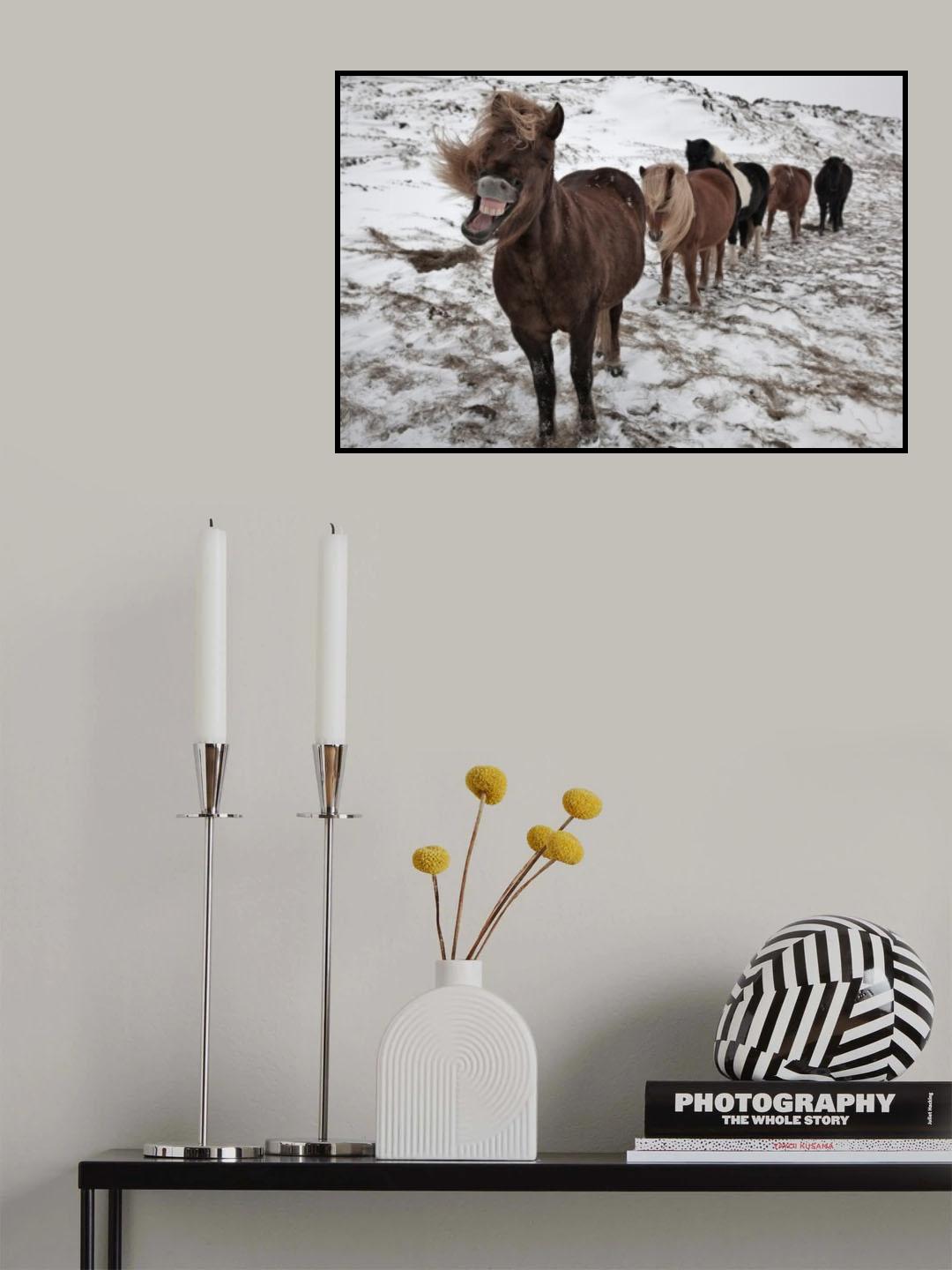Follow me guys! Poster och Canvastavla