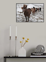Follow me guys! Poster och Canvastavla