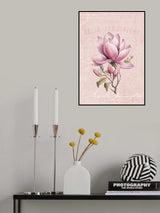 Magnolia Pink No2 Poster och Canvastavla