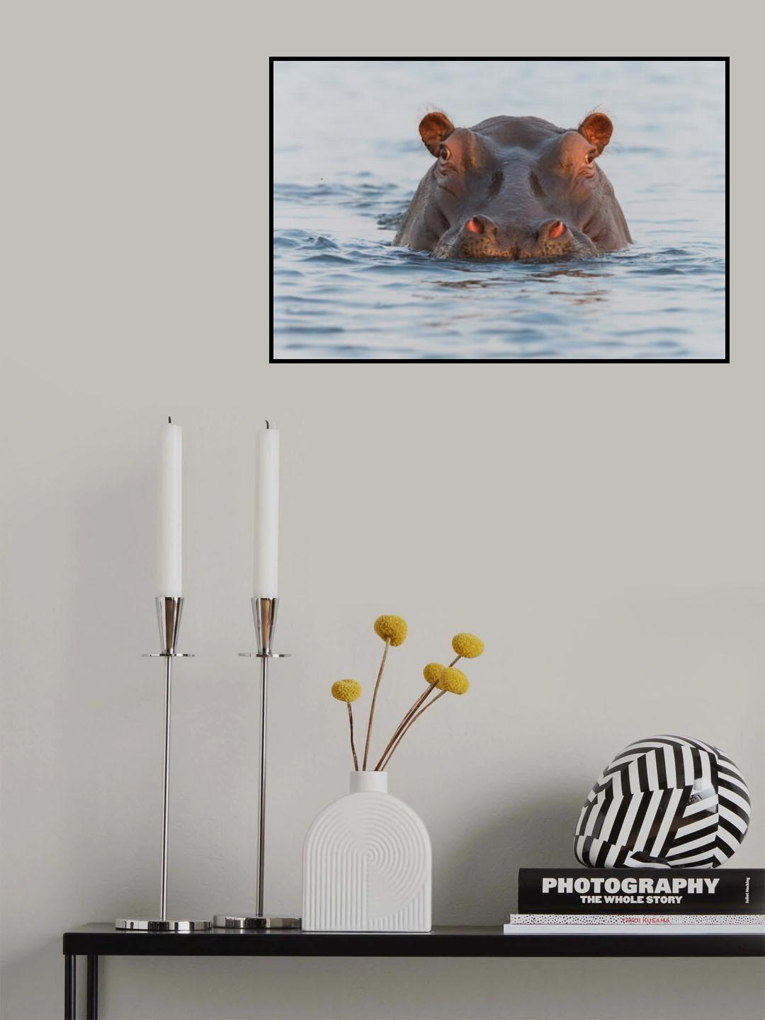 On Chobe River Poster och Canvastavla