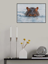 On Chobe River Poster och Canvastavla