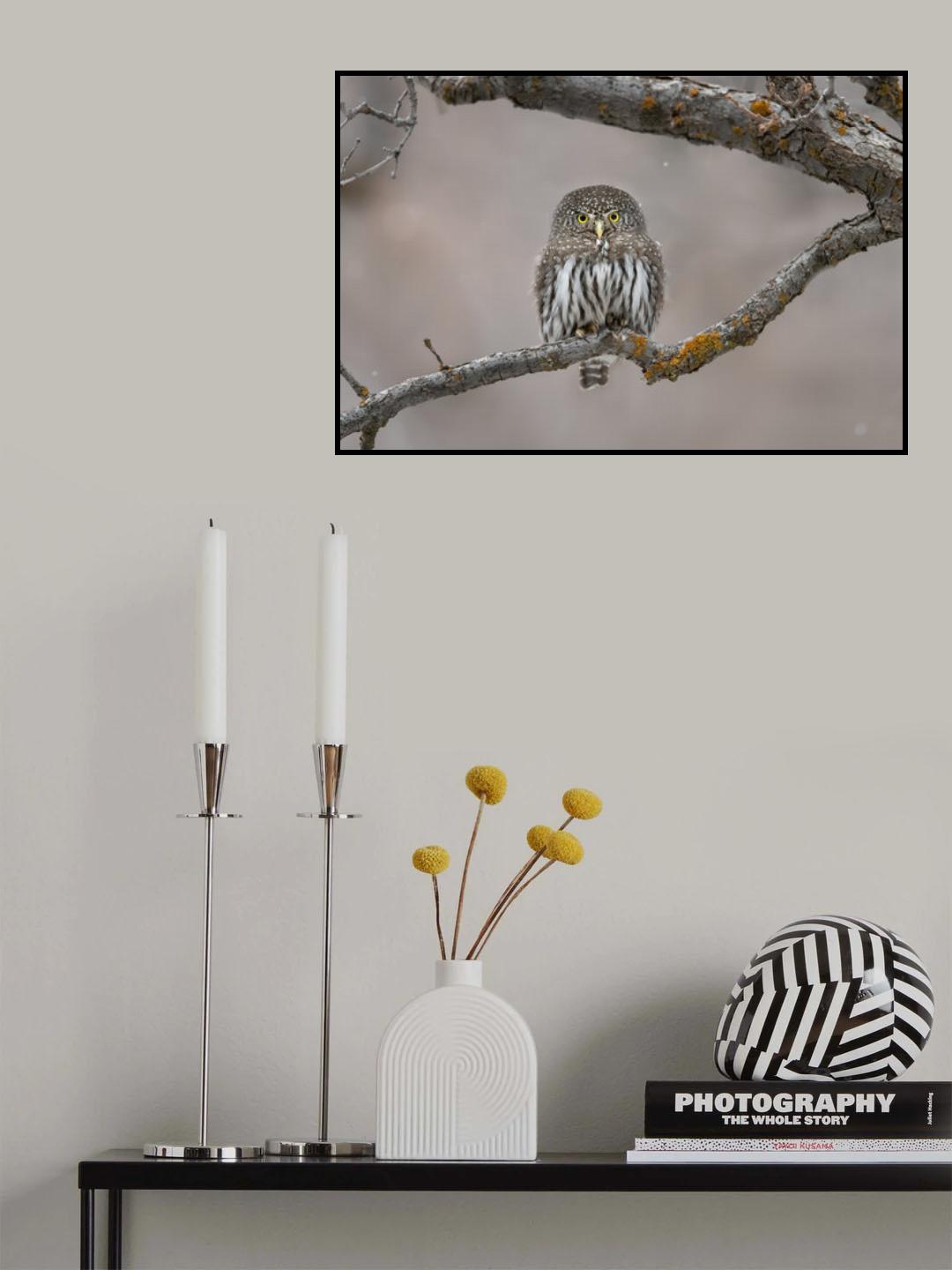 Little guy in the snow Poster och Canvastavla