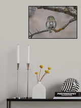 Little guy in the snow Poster och Canvastavla