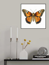 Butterfly 5 Poster och Canvastavla