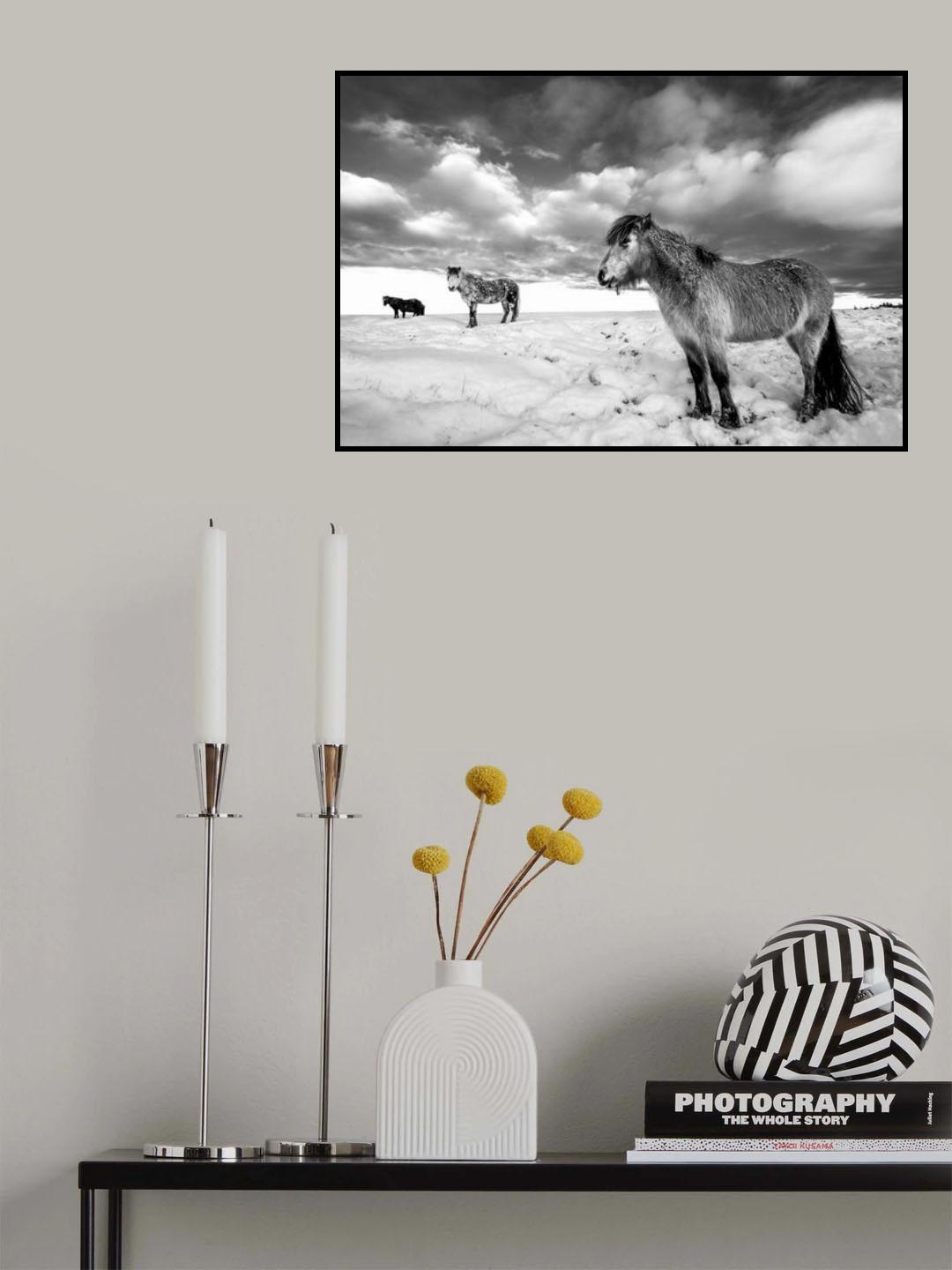 Poster och Canvastavla