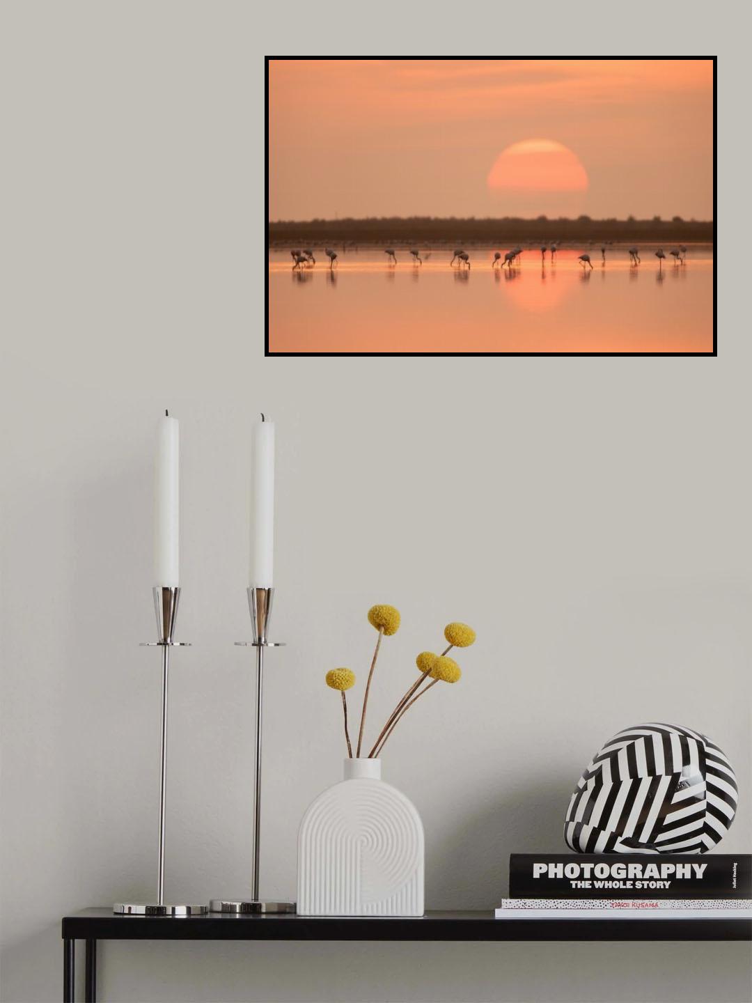 Flamingos at Sunrise Poster och Canvastavla