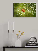 Walk on flowers Poster och Canvastavla
