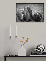 WAR OR LOVE Poster och Canvastavla