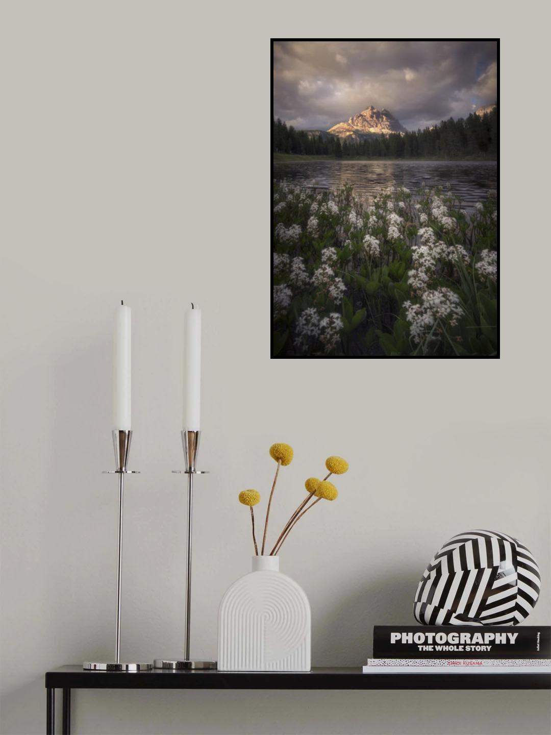 Flowering Poster och Canvastavla