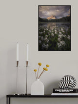 Flowering Poster och Canvastavla