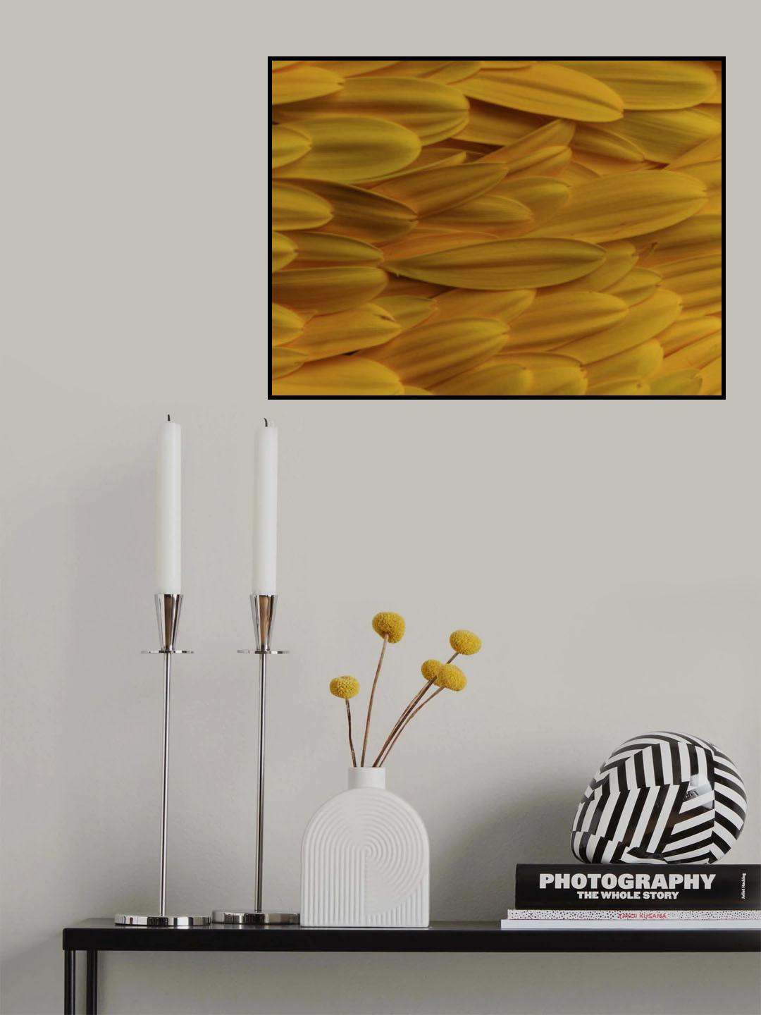 flower petals Poster och Canvastavla