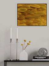 flower petals Poster och Canvastavla