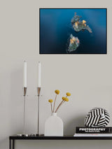Sail Islands Poster och Canvastavla