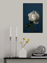 Peony_6 Poster och Canvastavla