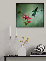Emerald Symphony Poster och Canvastavla