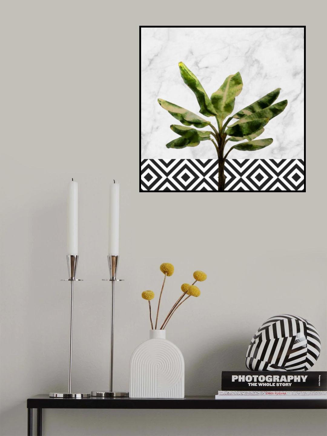 Banana Tree on Checkered Wall Poster och Canvastavla