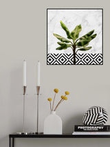 Banana Tree on Checkered Wall Poster och Canvastavla