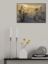 Swamp in mist Poster och Canvastavla