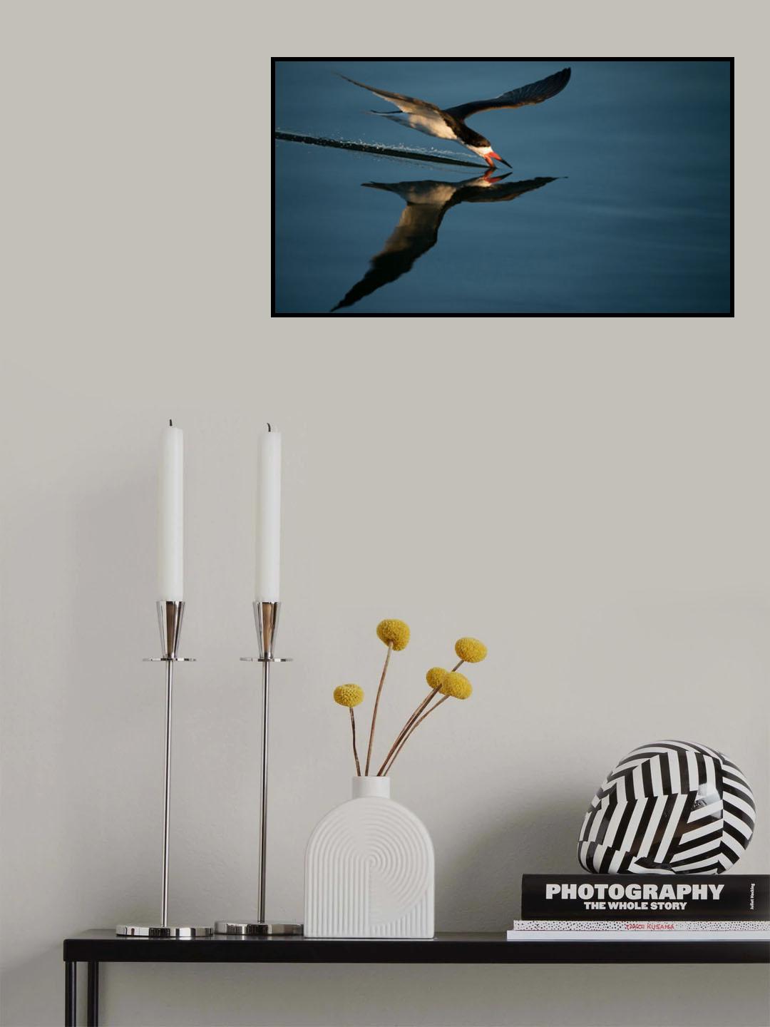 Touch down Poster och Canvastavla