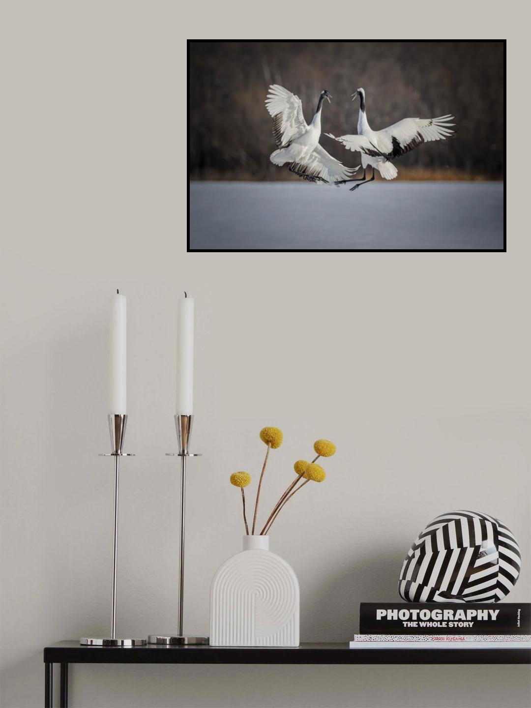 Jumping Competition Poster och Canvastavla