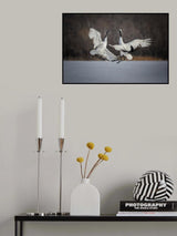 Jumping Competition Poster och Canvastavla