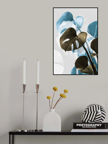 Monstera Creative 13 Poster och Canvastavla
