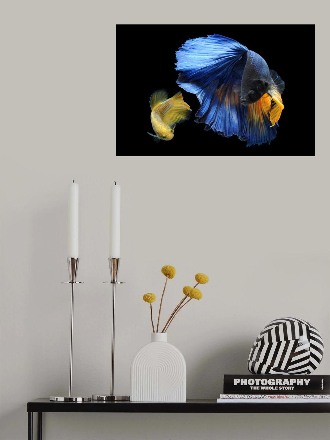 Pair Betta Fish Poster och Canvastavla