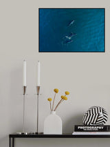 Arabian Humpback Whale Poster och Canvastavla