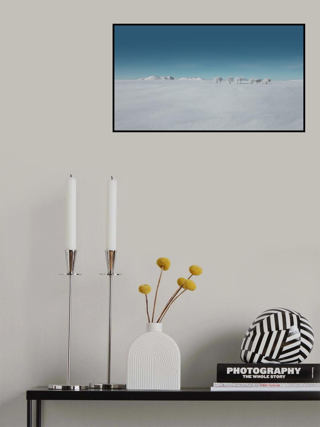 The woods Poster och Canvastavla