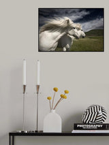 Interplay Poster och Canvastavla
