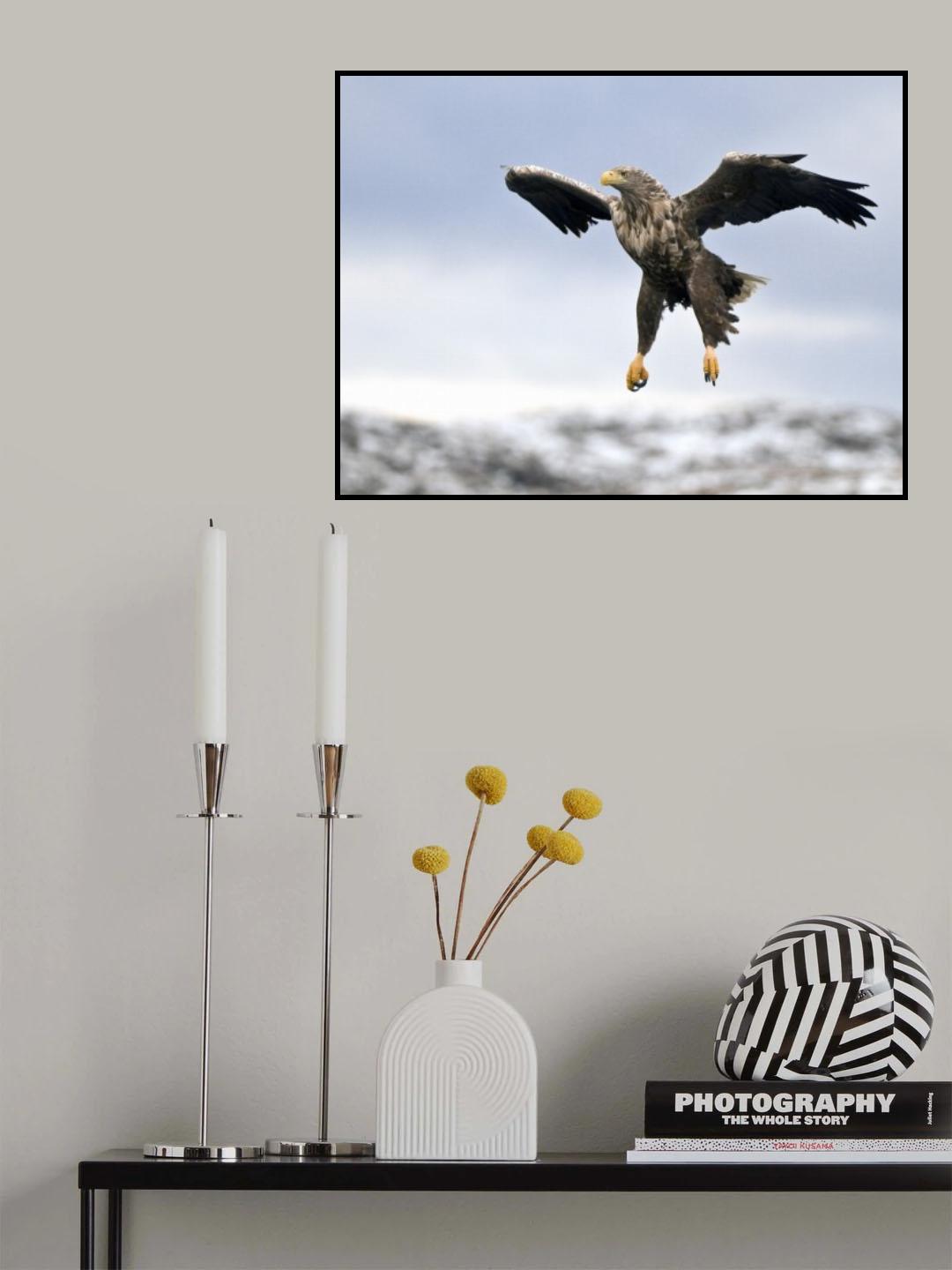 Prepare for landing Poster och Canvastavla